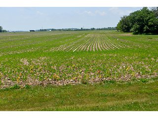 Property photo 35 - LAND AUCTION - 700+/- ACRES OFFERED IN 16 TRACTS IN ALLEN COUNTY, INDIANA
